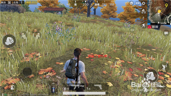 刺激战场海岛地图中的野餐聚集点在哪，刷新位置