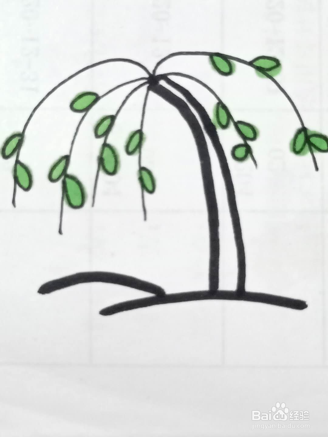 怎样画柳树