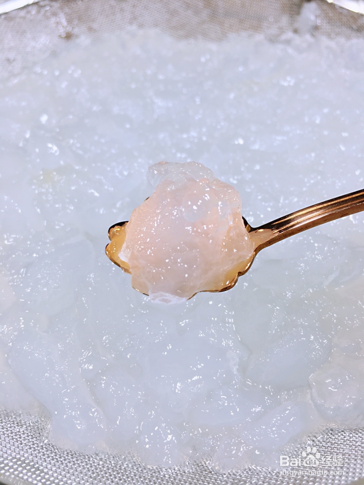 一个人做木瓜炖雪蛤