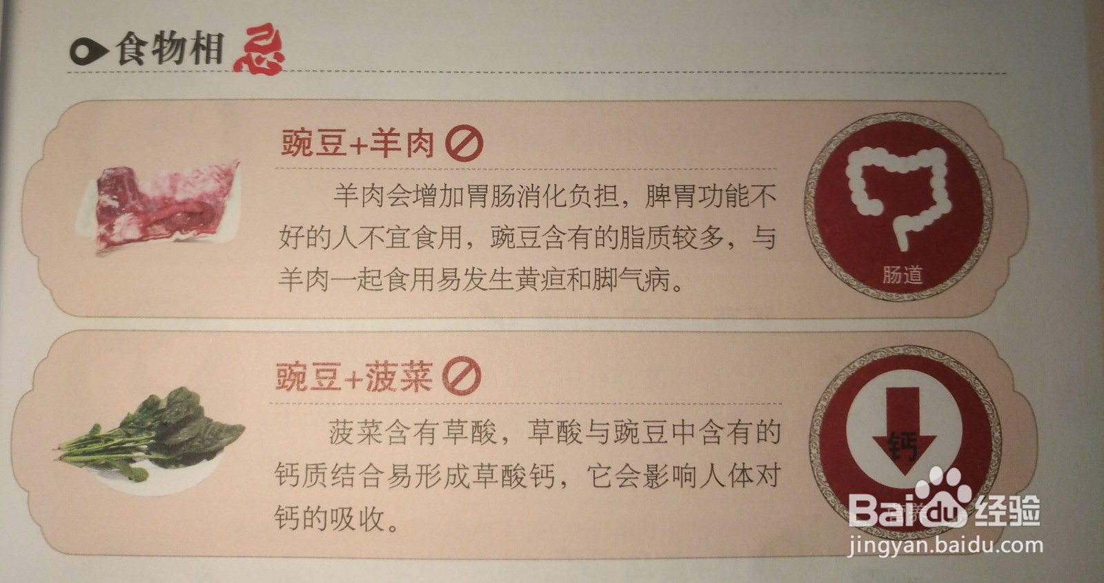 你知道豌豆的禁忌吗