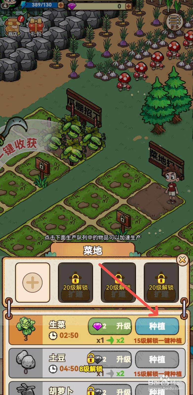 史小坑的爆笑生活怎么种植生菜