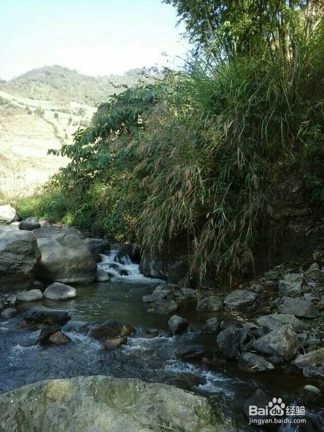 面试中要注意哪些问题？