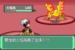 口袋妖怪漆黑的魅影攻略——如何抓火焰鸟
