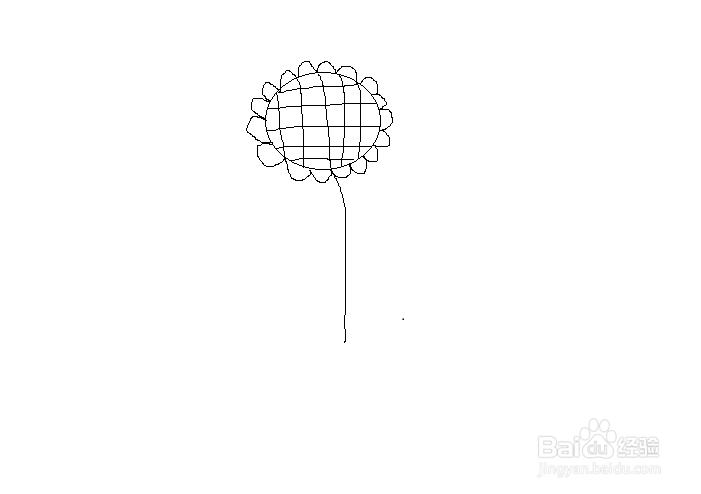 简笔画之向日葵