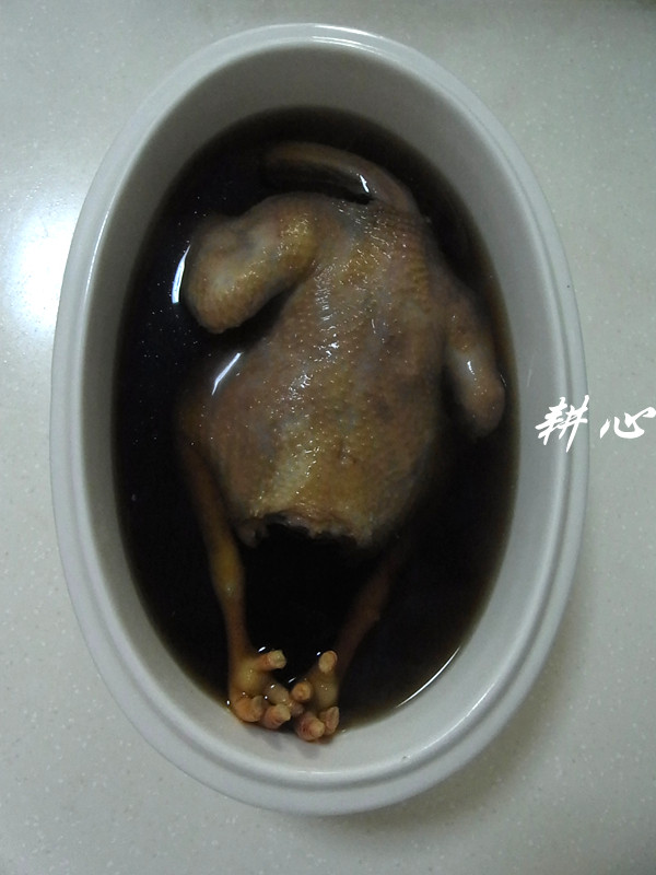 养身滋补美食，鲜美的灵芝老鸽汤