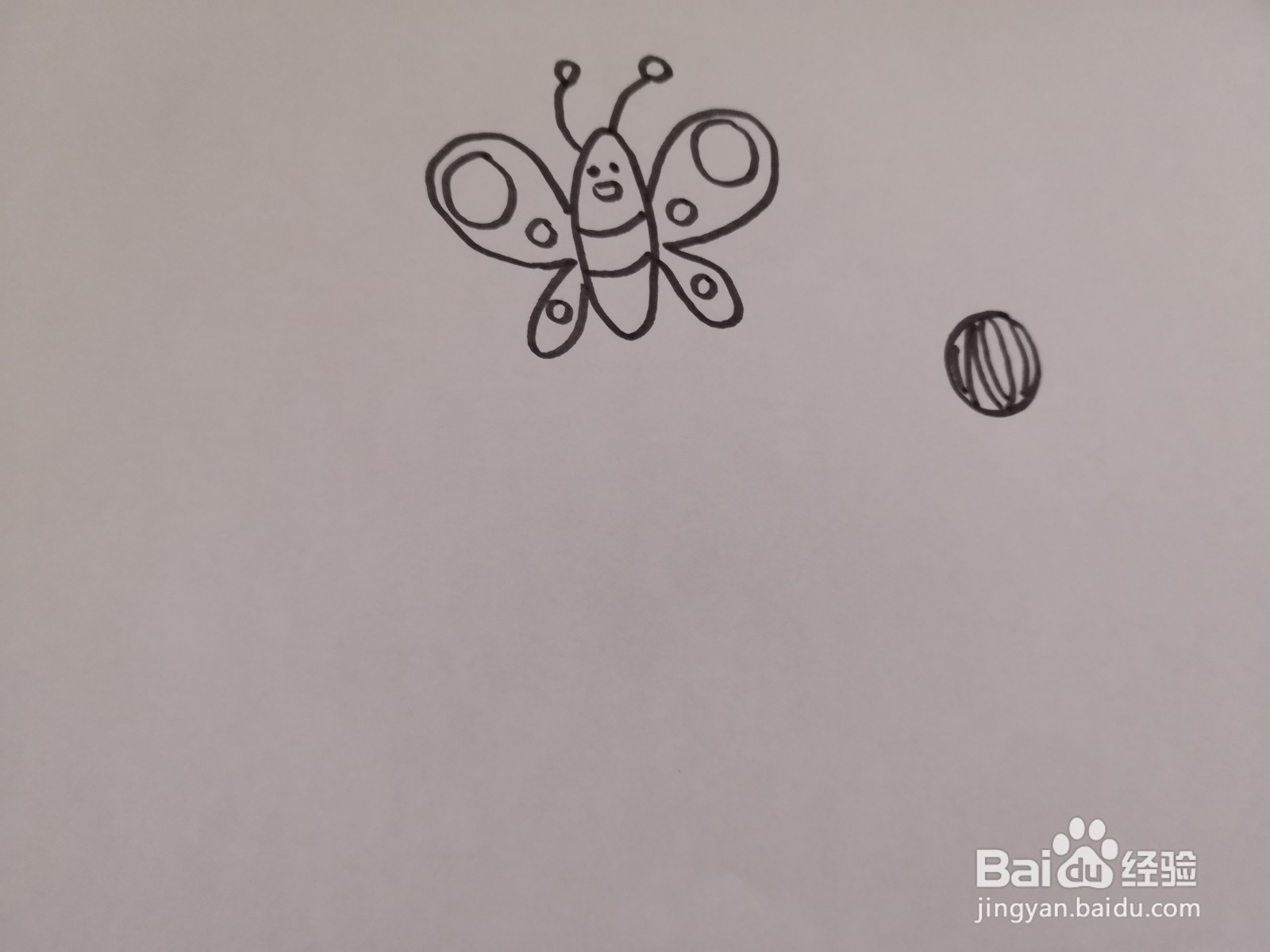 蝴蝶成长过程图简笔画