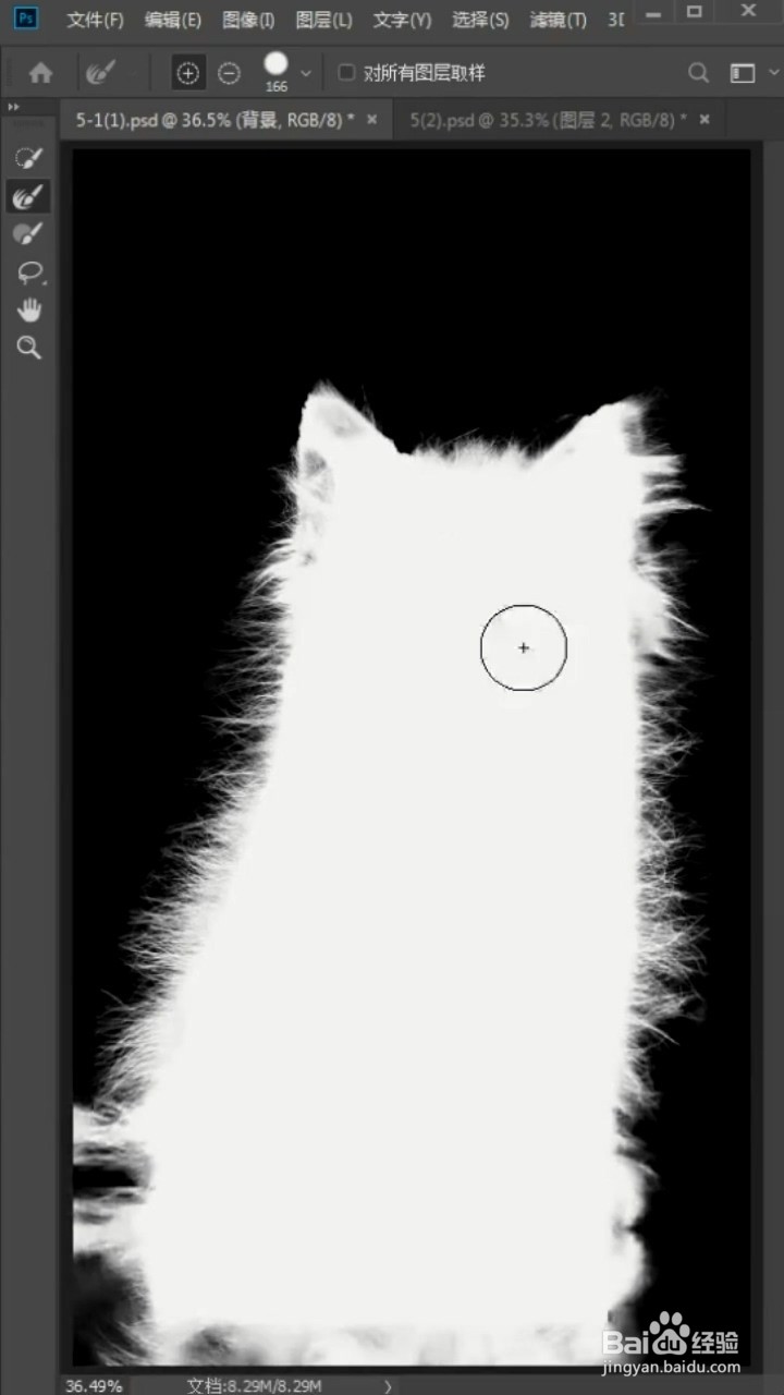 如何利用photoshop抠出小猫咪