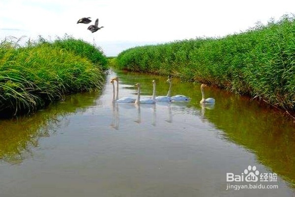 盘锦旅游一定要去的8个景点