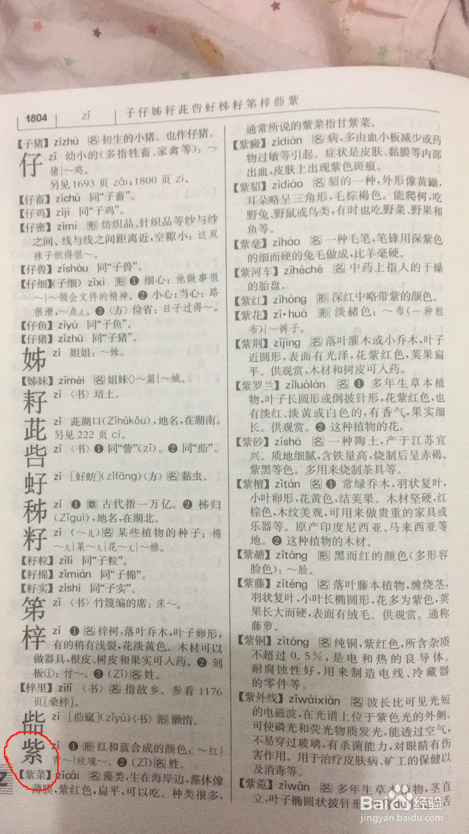 紫的部首查字法怎么查