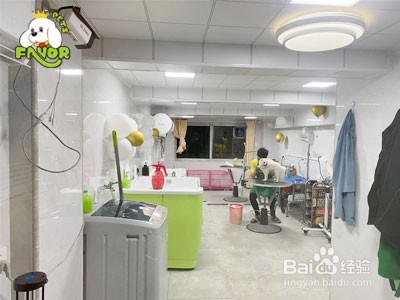 开一家宠物店的收入怎么样