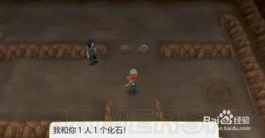 switch宝可梦攻略