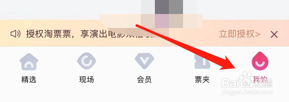 大麦在哪里进入隐私设置？
