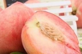 怎么辨别桃子的好坏