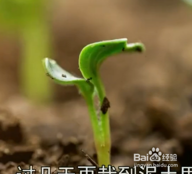 如何掌握有趣的小妙招？