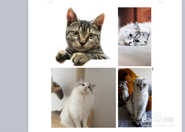 word里如何把图片排版规整