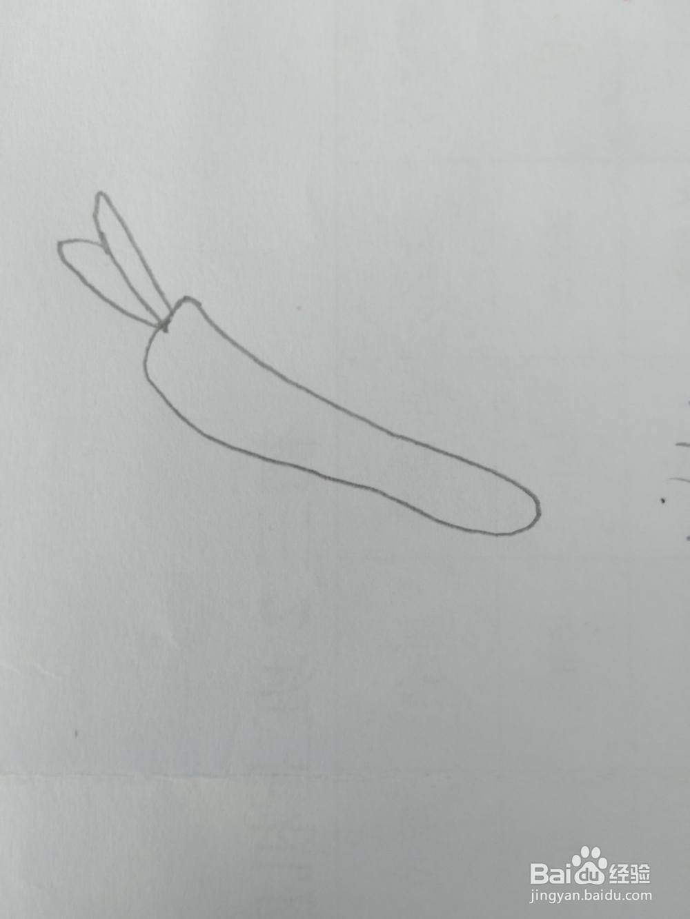 简笔画胡萝卜画法三