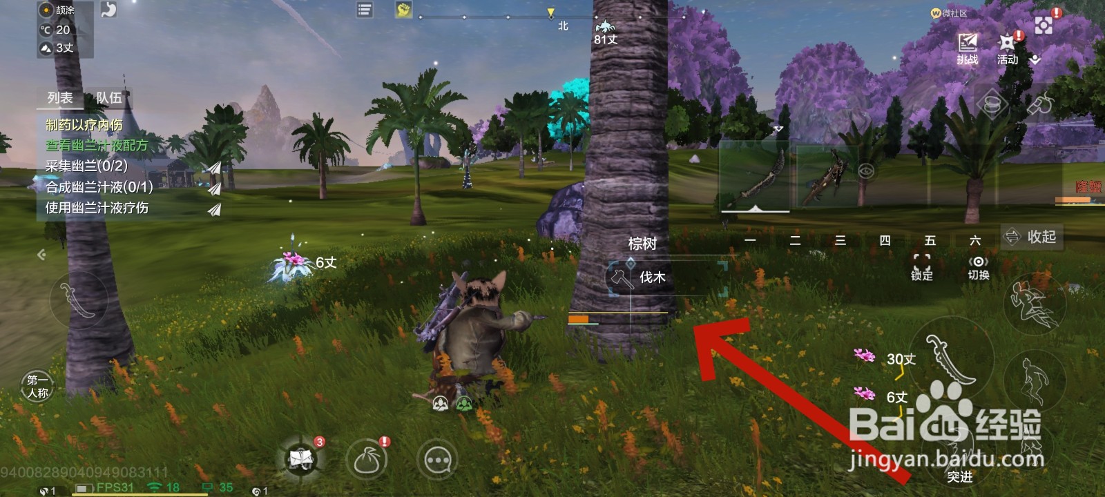 妄想山海游戏中采集幽兰的教程