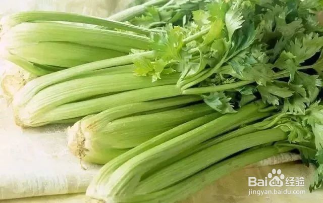 蔬菜是最健康的绿色食物,吃蔬菜减肥最快