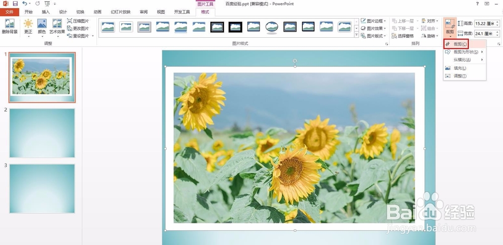 ppt中的图怎么去掉白边