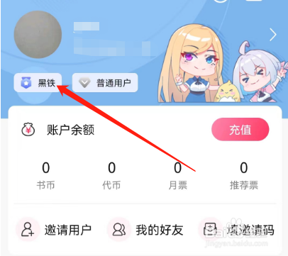 安卓版次元姬小说如何查看升级攻略？