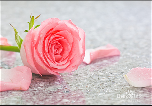 遮罩图片中的黑色怎么制作成半透明的颜色