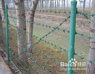 刺绳护栏网安装方法