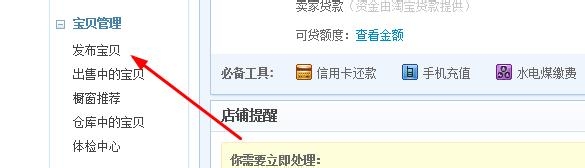 淘宝：[13]如何发布商品
