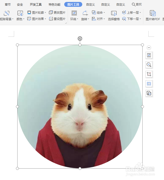 WPS文档如何更改图片的亮度