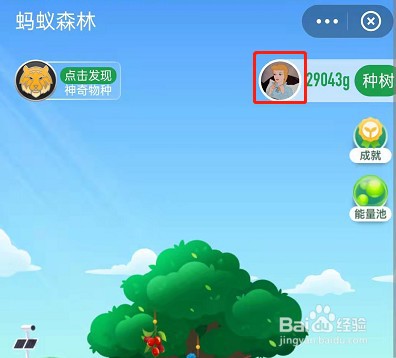 支付宝蚂蚁森林怎么查看个人减排量