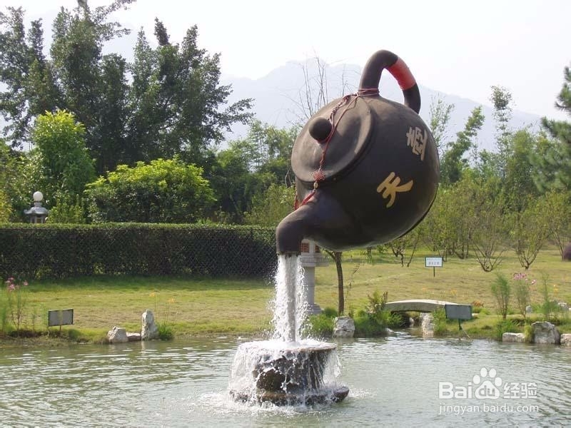 饮用浓茶需要注意什么