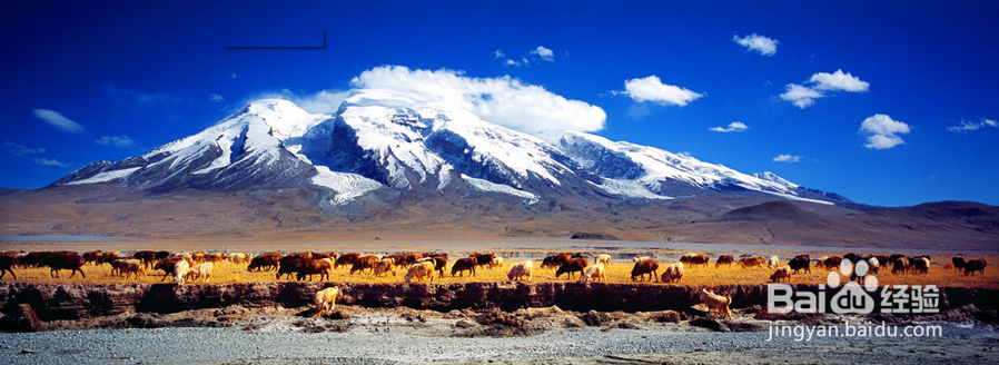 各个城市最低工资最新排名。