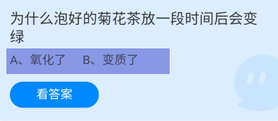 蚂蚁庄园2024年6月29日：泡好的菊花茶会变绿
