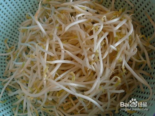 炒绿豆芽