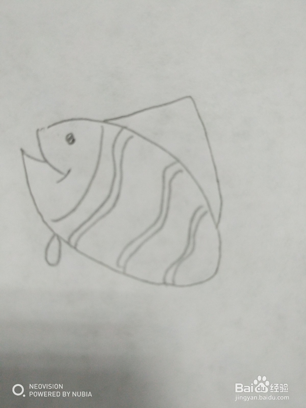 简单的小鱼怎么画（十）