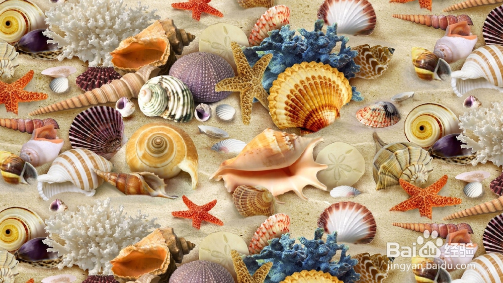 海鲜和肉类的清洗技巧get√了吗？