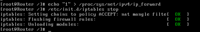 Linux DHCP和DHCP中继的实验步骤
