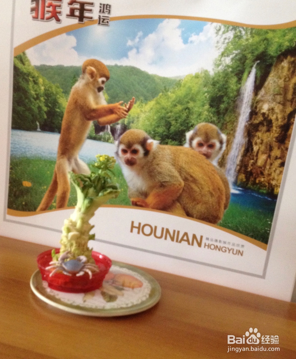 白菜花小盆景——怎样利用废弃物制作盆景