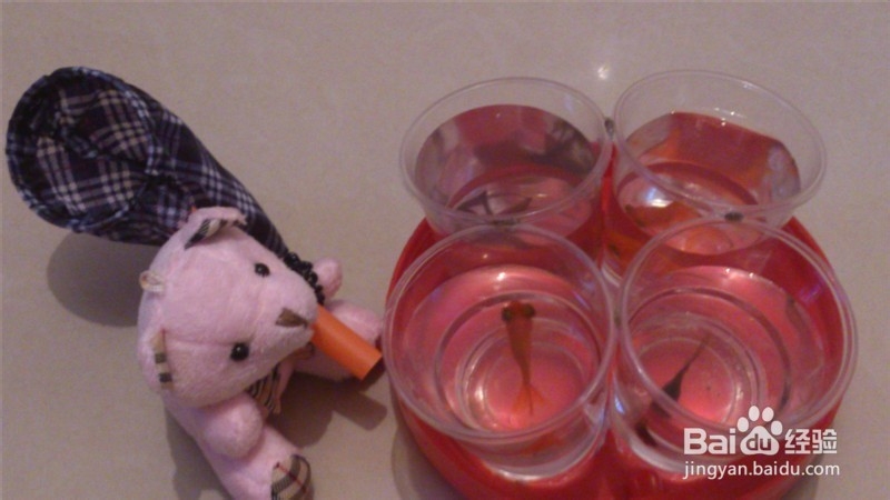 关于奶茶吸管,一次性杯子的废物利用