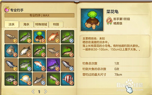 冒险岛2 钓鱼技巧