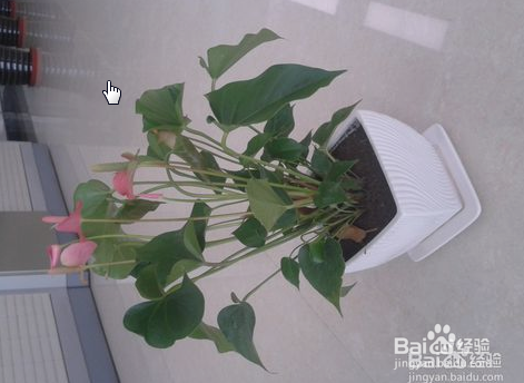 室内没有空调该怎样降温