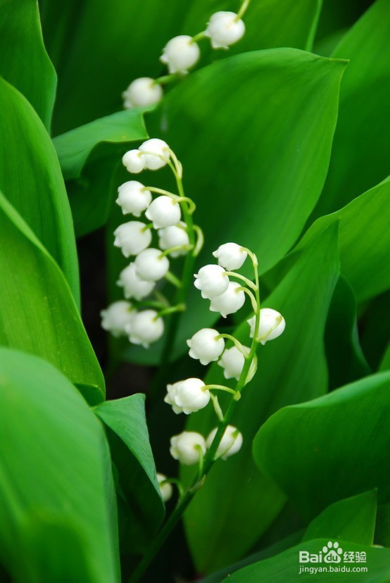 联通3g卡怎样包流量