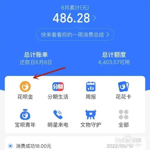 支付宝花呗金是什么如何看