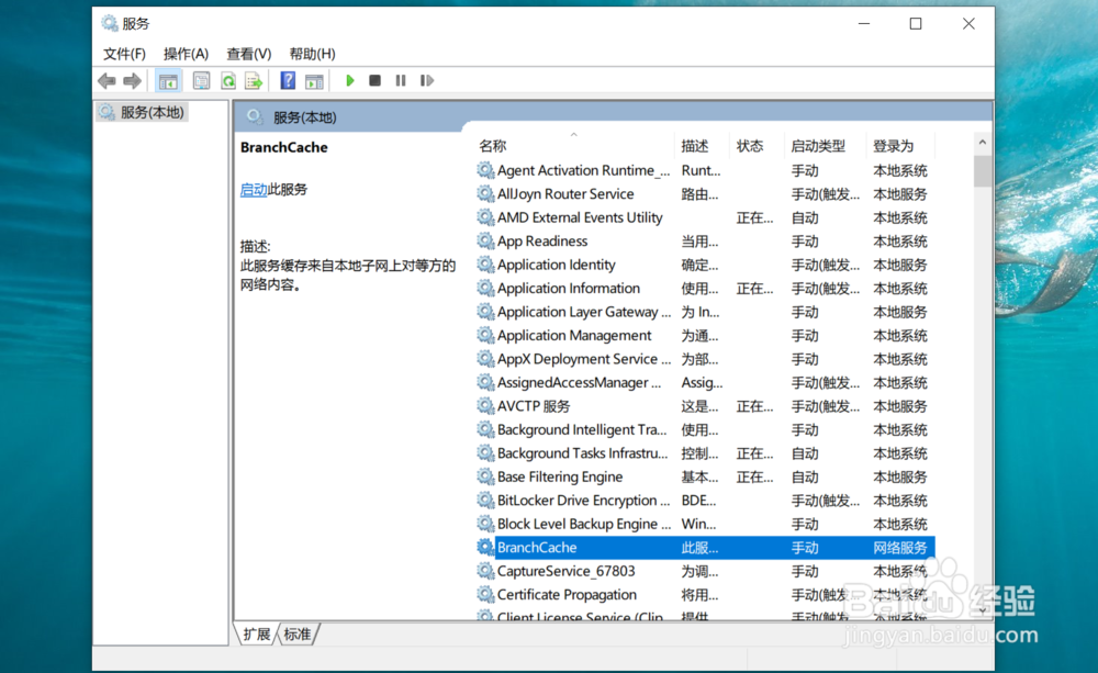 怎么启动系统中的BranchCache服务?