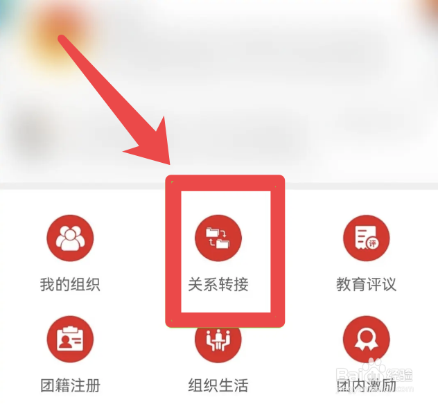 青年团怎么转团