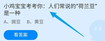 蚂蚁庄园答案人们常说的“荷兰豆”是一种