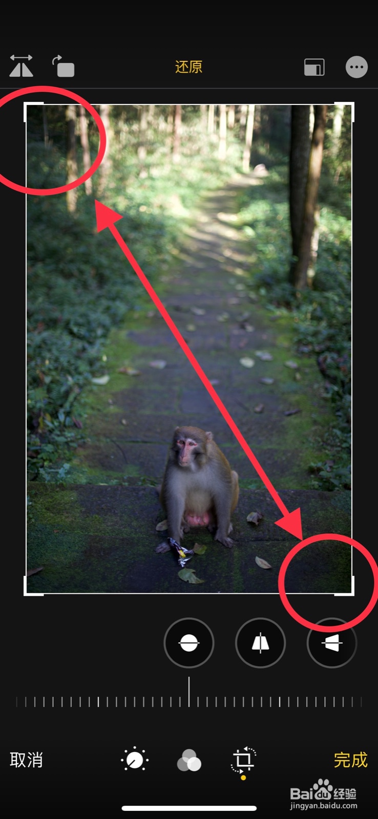 苹果手机照片怎么裁剪大小