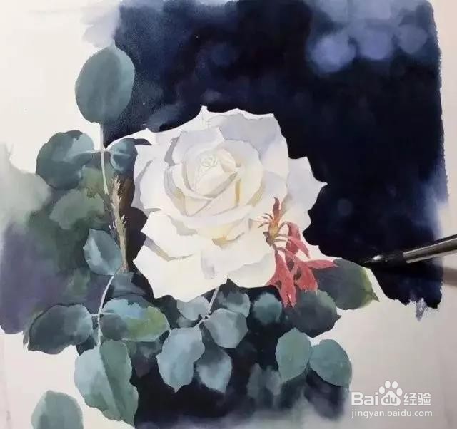 水彩玫瑰花的画法