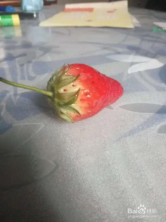 只用1个花盆,草莓长得吃不完