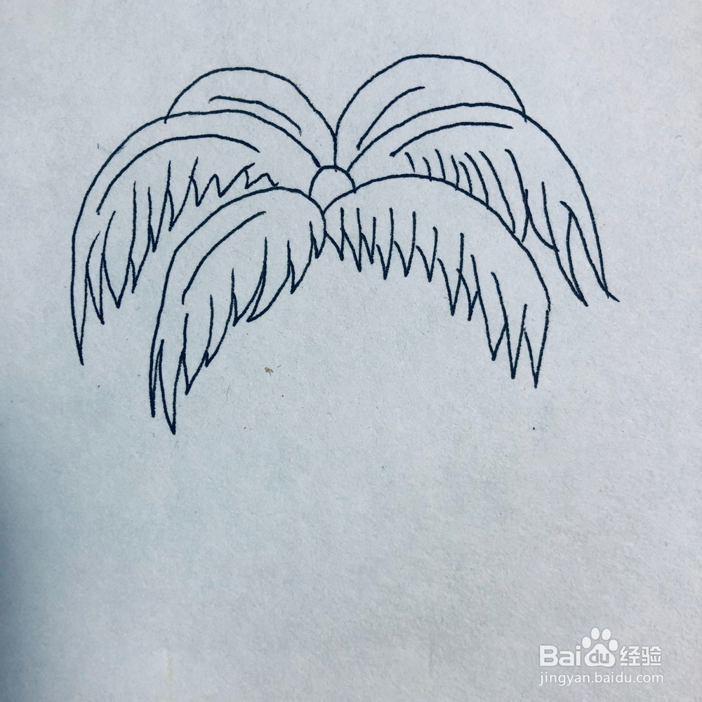 怎么绘画一棵简单的椰子树