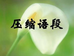 压缩语段的方法技巧